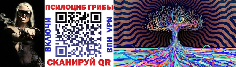 Галлюциногенные грибы Psilocybe  купить наркоту  Долинск 