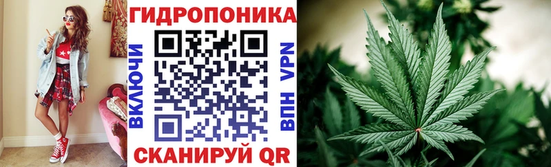 МАРИХУАНА Amnesia  цена   OMG tor  Долинск 